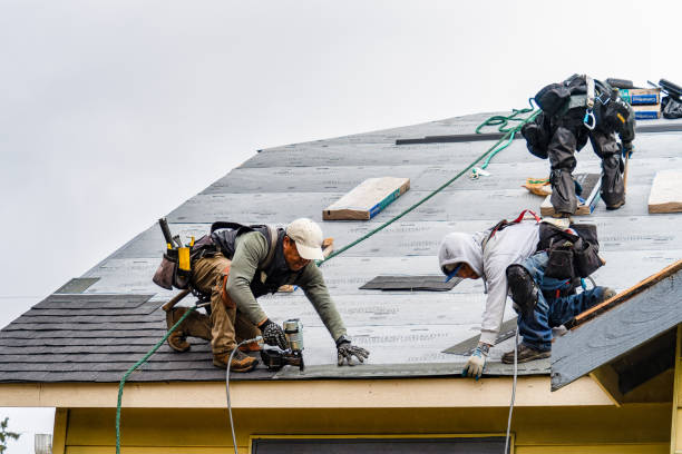 Professional Roofing technician working in Lehr, ND